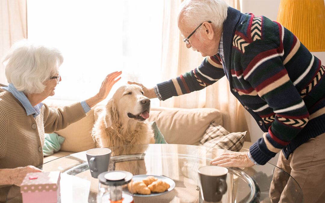 Pets for Seniors: Furry Friends Bringing Joy to Older Adults